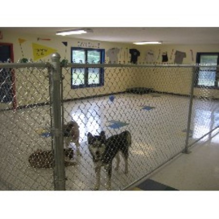 Orlando Preppy Pet Boarding Dog Daycare Kennel Preppy Pet | Prada ...