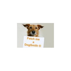 Dog Cleanup in Haltom City, TX