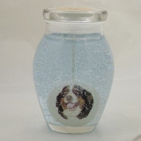 Speciality Dog Shop in Mentor, OH