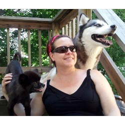 Doggy weekend getaway care in North Andover, Massachusetts