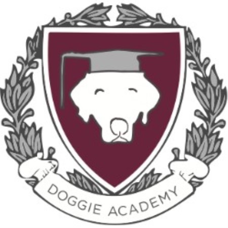 Dog barking behavior expert in Brooklyn, New York