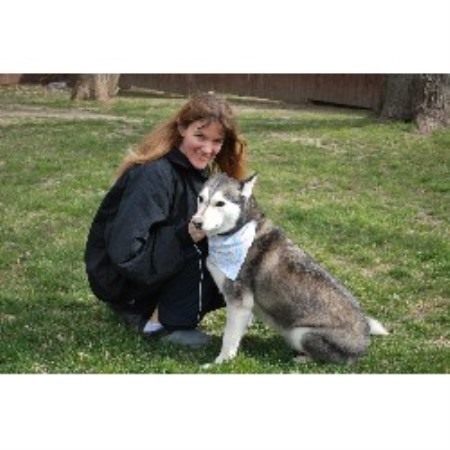 Dog Groomer - East Dundee, Illinois