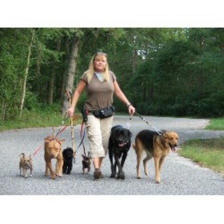 Pet sitter for dogs in Beachwood, Bayville, Ocean Gate, Pine Beach, Whiting, Manchester Township, Lacey Township, South Toms River, Lanoka Harbor, Forked River, Toms River, Berkeley Township, New Jersey