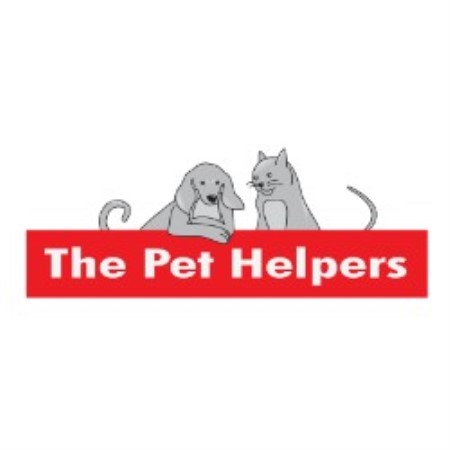 Doggy weekend getaway care in Haymarket, Virginia