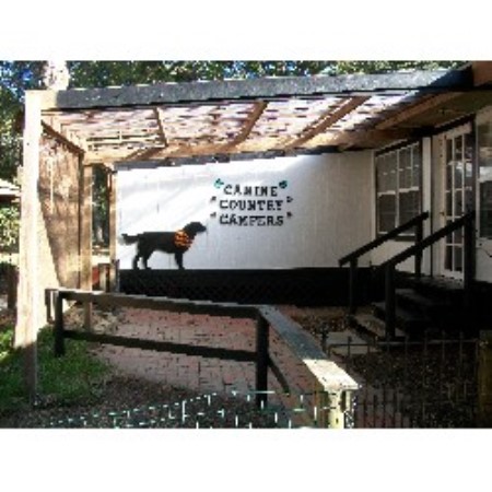 House sitting and walking for puppies and dogs in Tomball, Texas