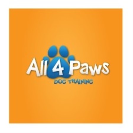 House breaking for puppies in Fayetteville, Pennsylvania