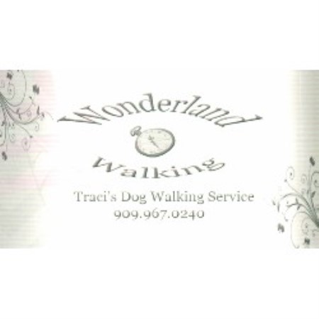 Dog walking in Rancho Cucamonga, California