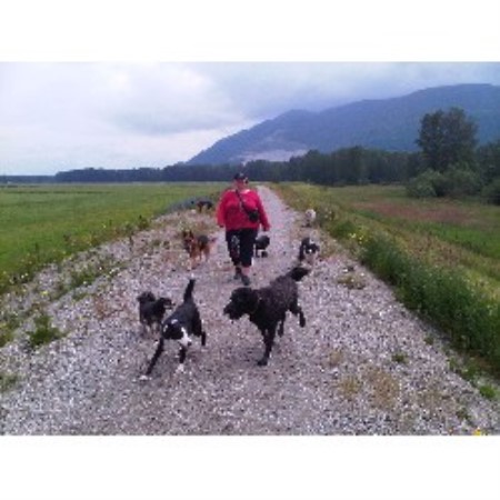 Experienced pet sitter and dog walker in Abbotsford, British Columbia