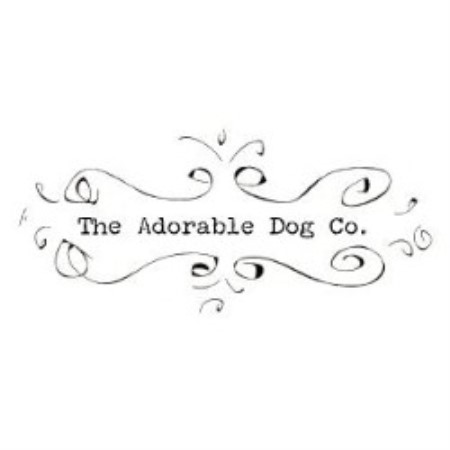 Dog sitter in Belmont Shore, California