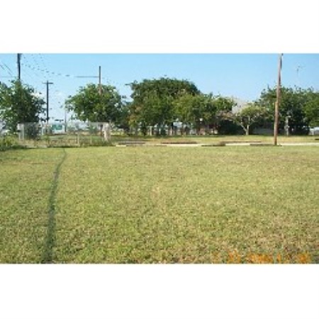 Puppy/Dog obedience training in Killeen, Texas