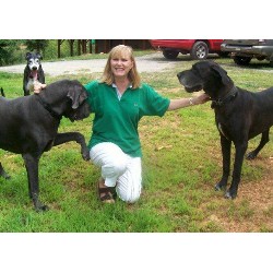 Pet sitter for dogs in Murphy, North Carolina