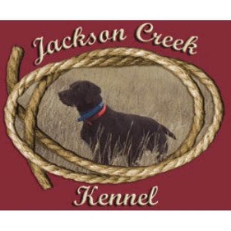 Dog Boarding in Falcon, Colorado