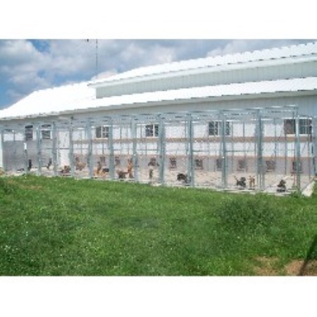 Puppy/Dog obedience training in Ainsworth, Iowa