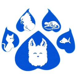 Dog Trainer in Wellington, Florida