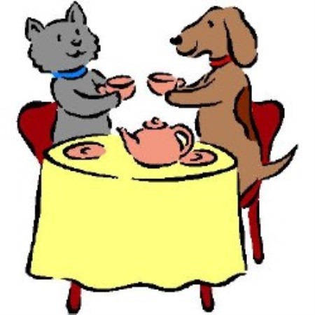 Puppy/Dog obedience training in Concord, Massachusetts