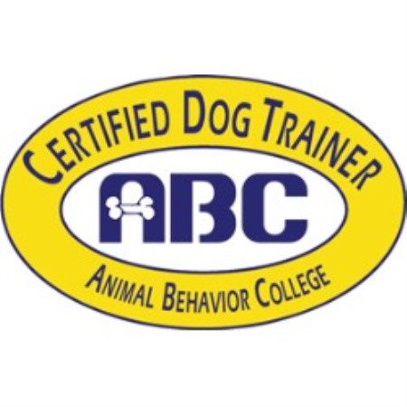 Experienced pet sitter and dog walker in Sagamore Hills, Ohio