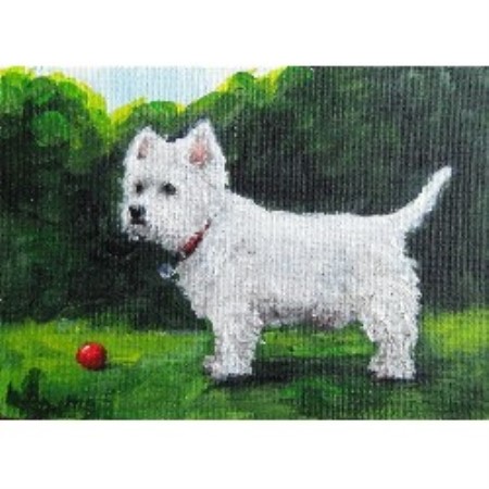 Shop for dogs in Lake Worth, FL