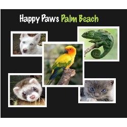 Dog Waste Removal in Palm Beach Gardens, FL