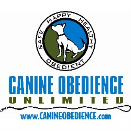 House training a puppy in Frederick, Maryland