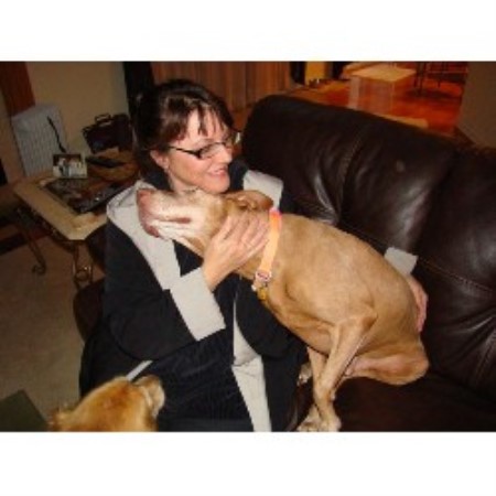 Small and friendly dog walking service in Kane, Mchenry & Cook Counties, Illinois