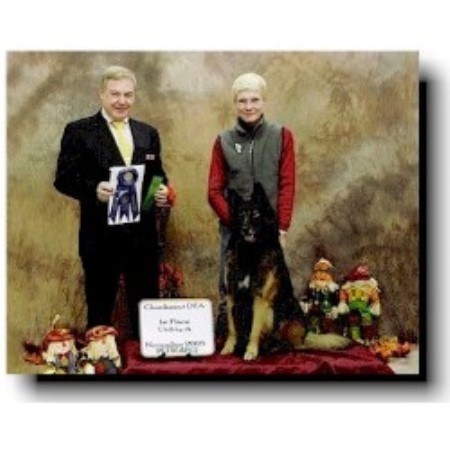 Obedience Dog Trainer in Woodinville, Washington