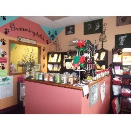 Dog Groomer in Moscow, Pennsylvania