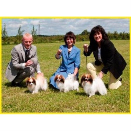 High school student who loves animals. - Dog Walker, Pet ... Directory of Dog Boarding kennels in Maryland ...