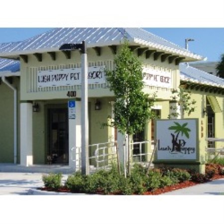 Shampoo and baths for pets - Jupiter, Florida