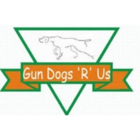 Gun Dogs R Us
