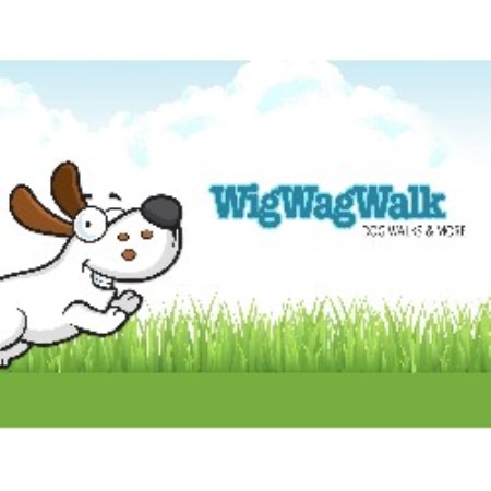 Dog Cleanup in Raleigh, NC