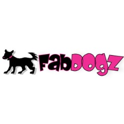 House breaking for puppies in Florence, Massachusetts