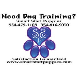 Obedient Dog Training in Fort Lauderdale, Florida