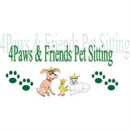 Reliable dog walking and pet sitting in Plantation, Florida