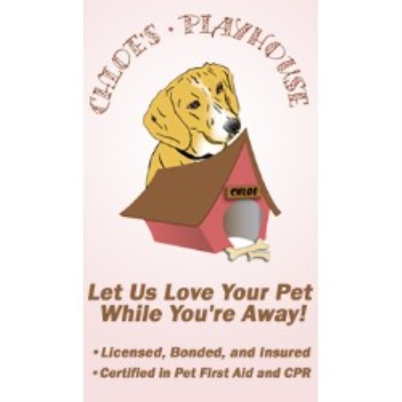 Experienced pet sitter and dog walker in Charlotte, North Carolina