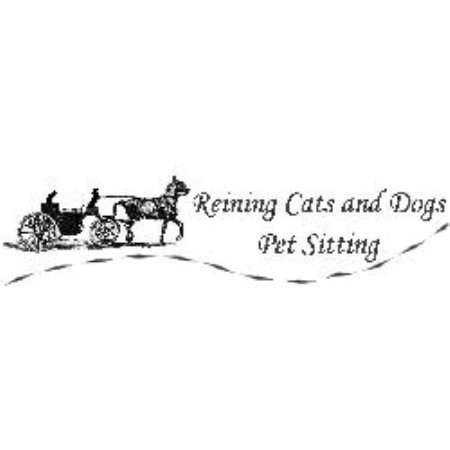 House sitting and walking for puppies and dogs in Raleigh, North Carolina