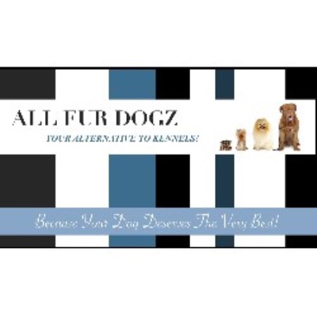 Experienced pet sitter and dog walker in Hamilton, Ontario