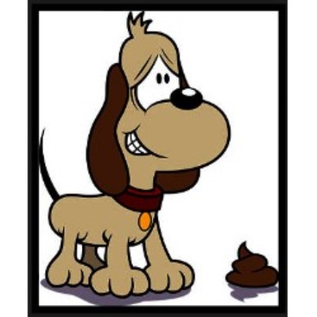 Dog Waste Removal in Denver, CO