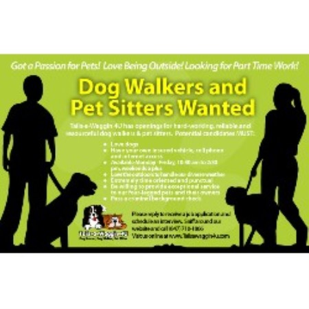Dog sitter in Buffalo Grove, Illinois