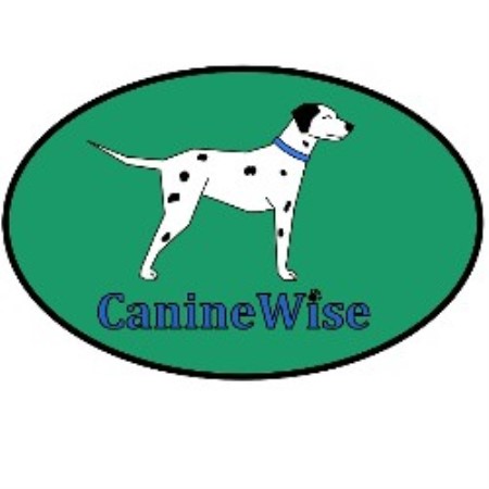 Shop for dogs in Norwich, CT