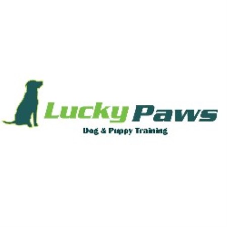 Obedient Dog Training in St. Louis Park, Minnesota