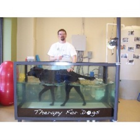 Louie in the water treadmill