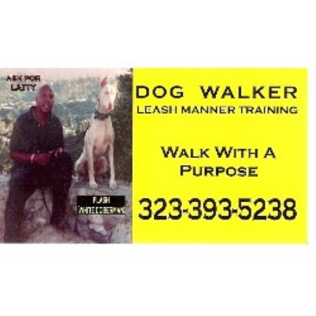 House sitting and walking for puppies and dogs in Los Angeles, California