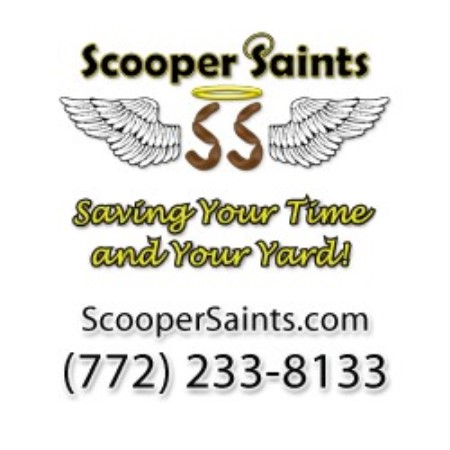 Dog sitter in Port St. Lucie, Florida