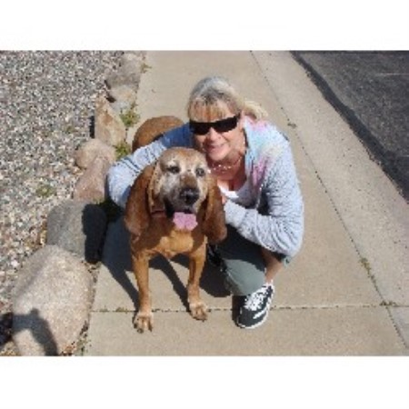 Dog walking in Surprise, Arizona