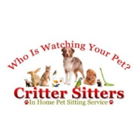 Dog Boarding in Millville, Massachusetts