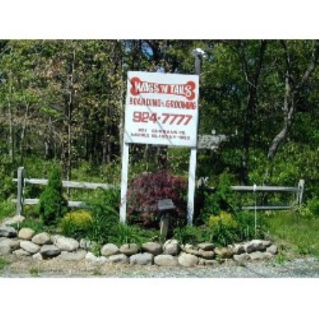 Grooming Salon for dogs in Middle Island, New York