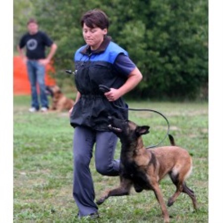 House breaking for puppies in Hudson, Wisconsin