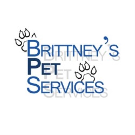 Dog Boarding in Woodstock, Ontario