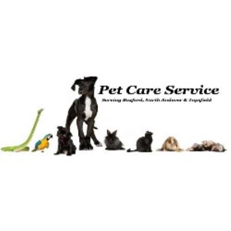 Experienced pet sitter and dog walker in Boxford, Massachusetts