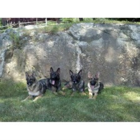 ... the top professional trainers and competitors in the United States